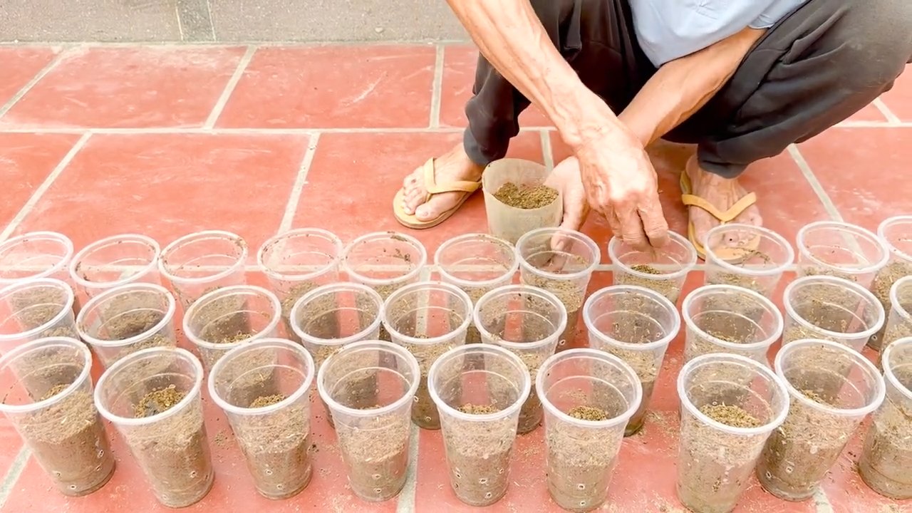 Lazy vegetable gardening