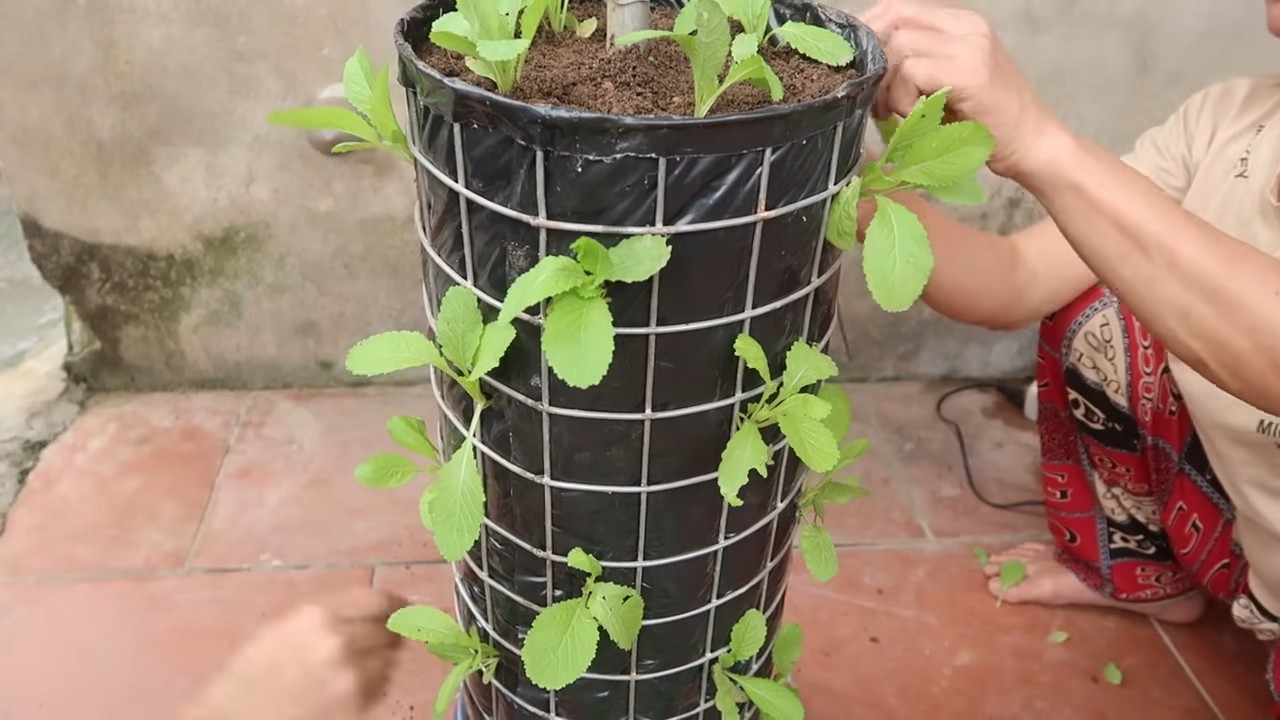 DIY Vertical Garden Assembly