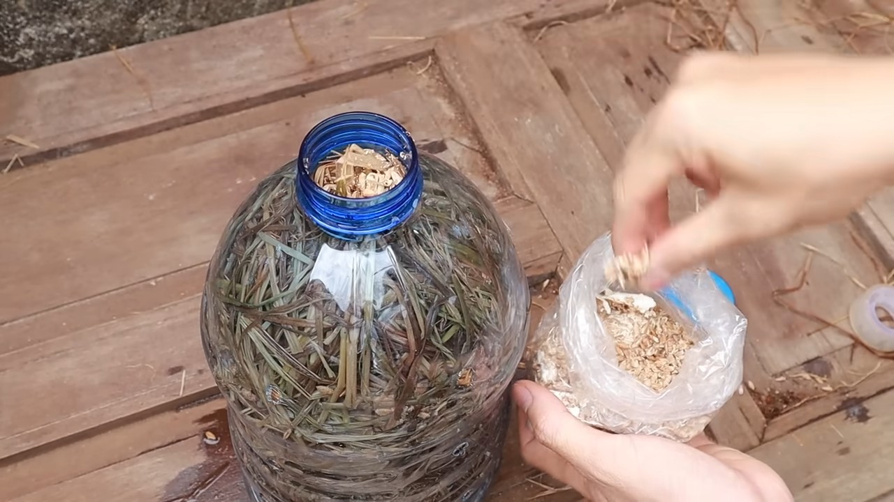 Mushroom cultivation plastic bottles