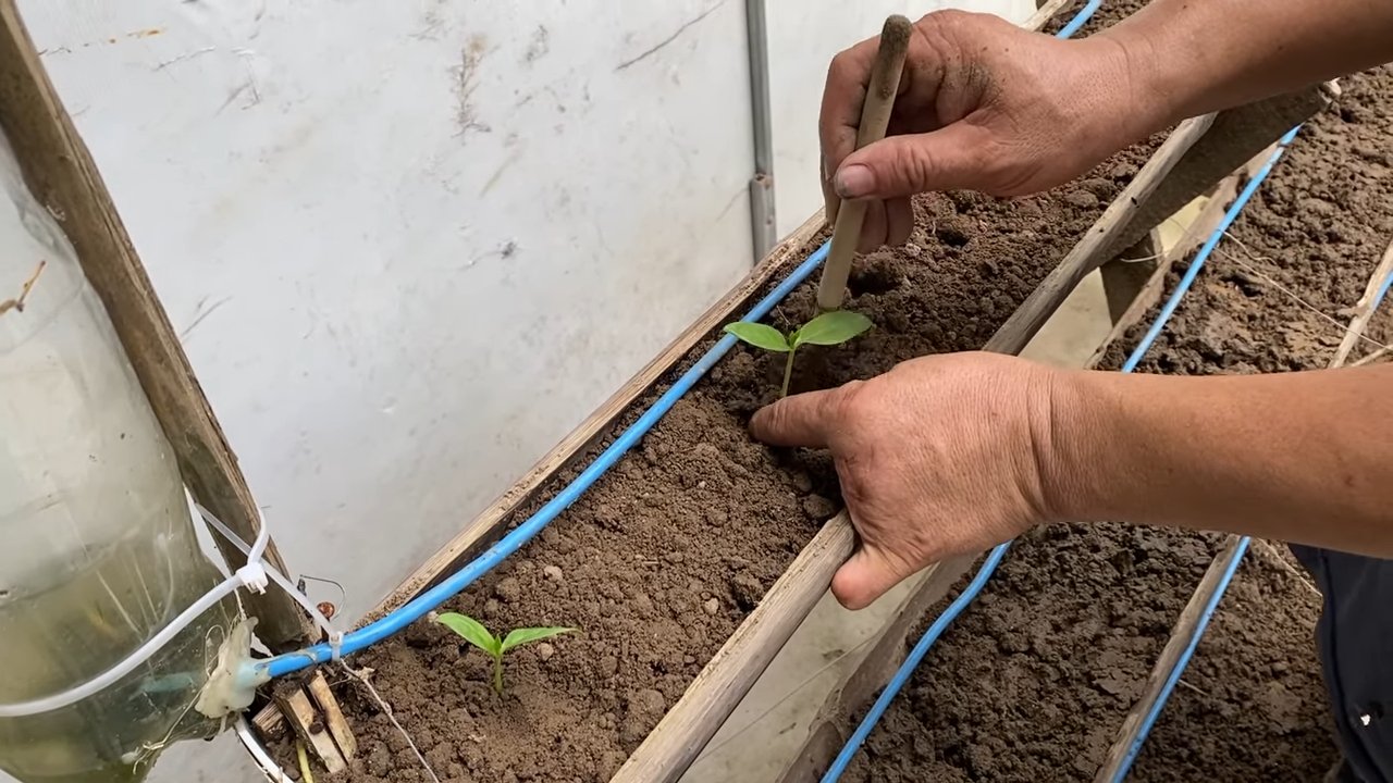 Vertical Spinach Tower DIY