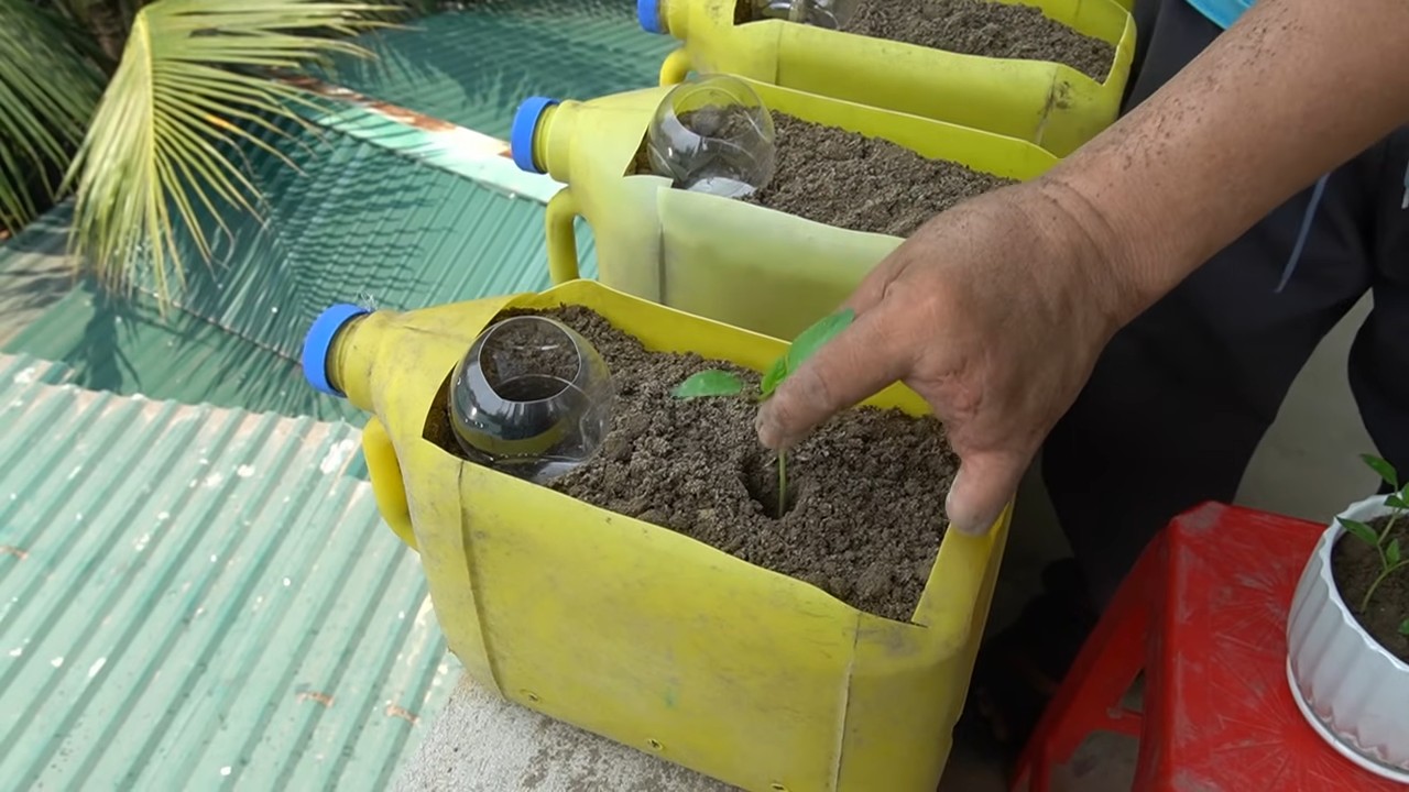 Recycled bottle bell peppers