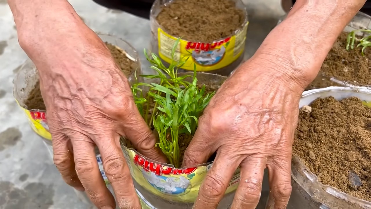 Water saving lawn care