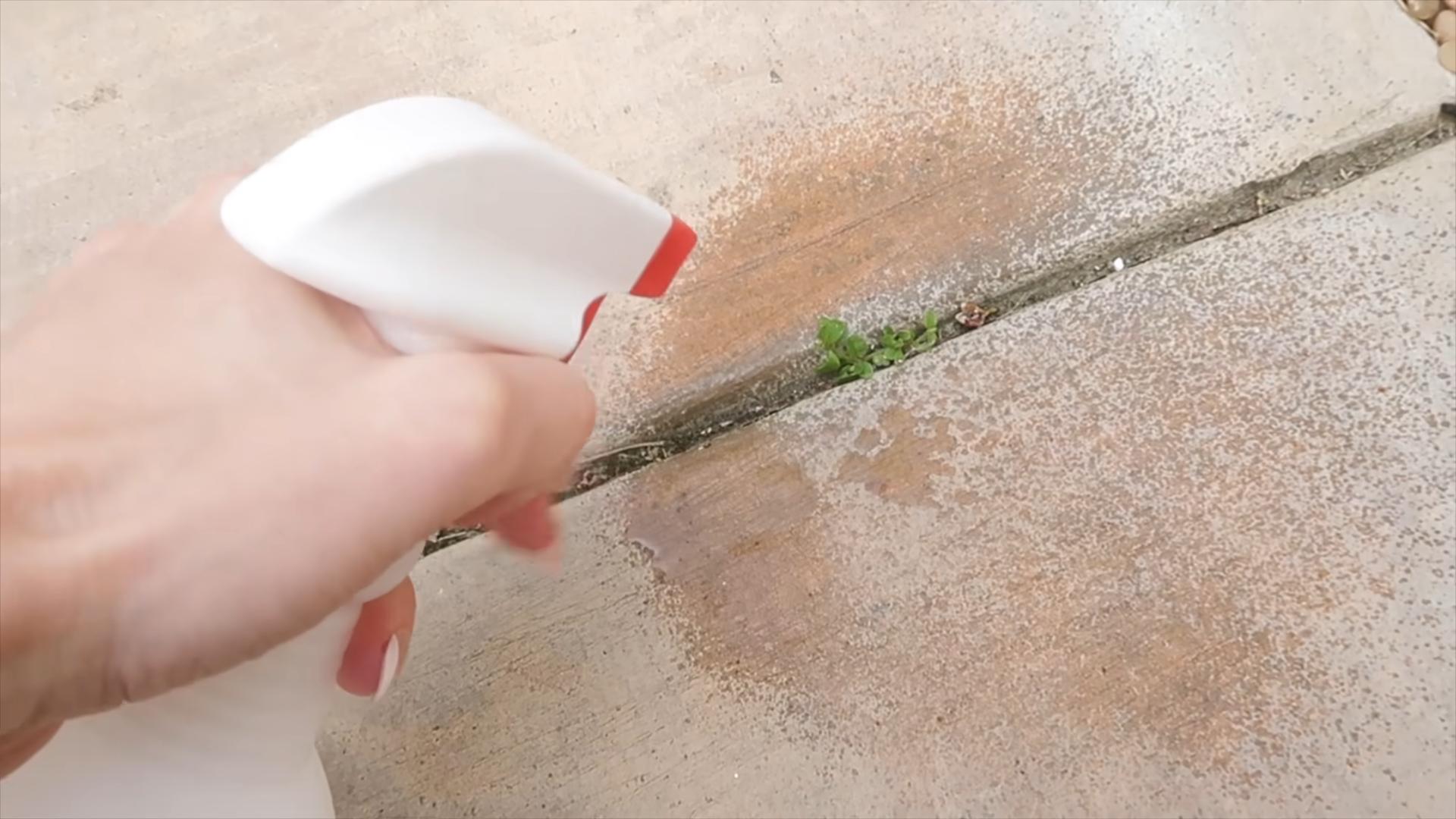 Dawn dish soap hacks