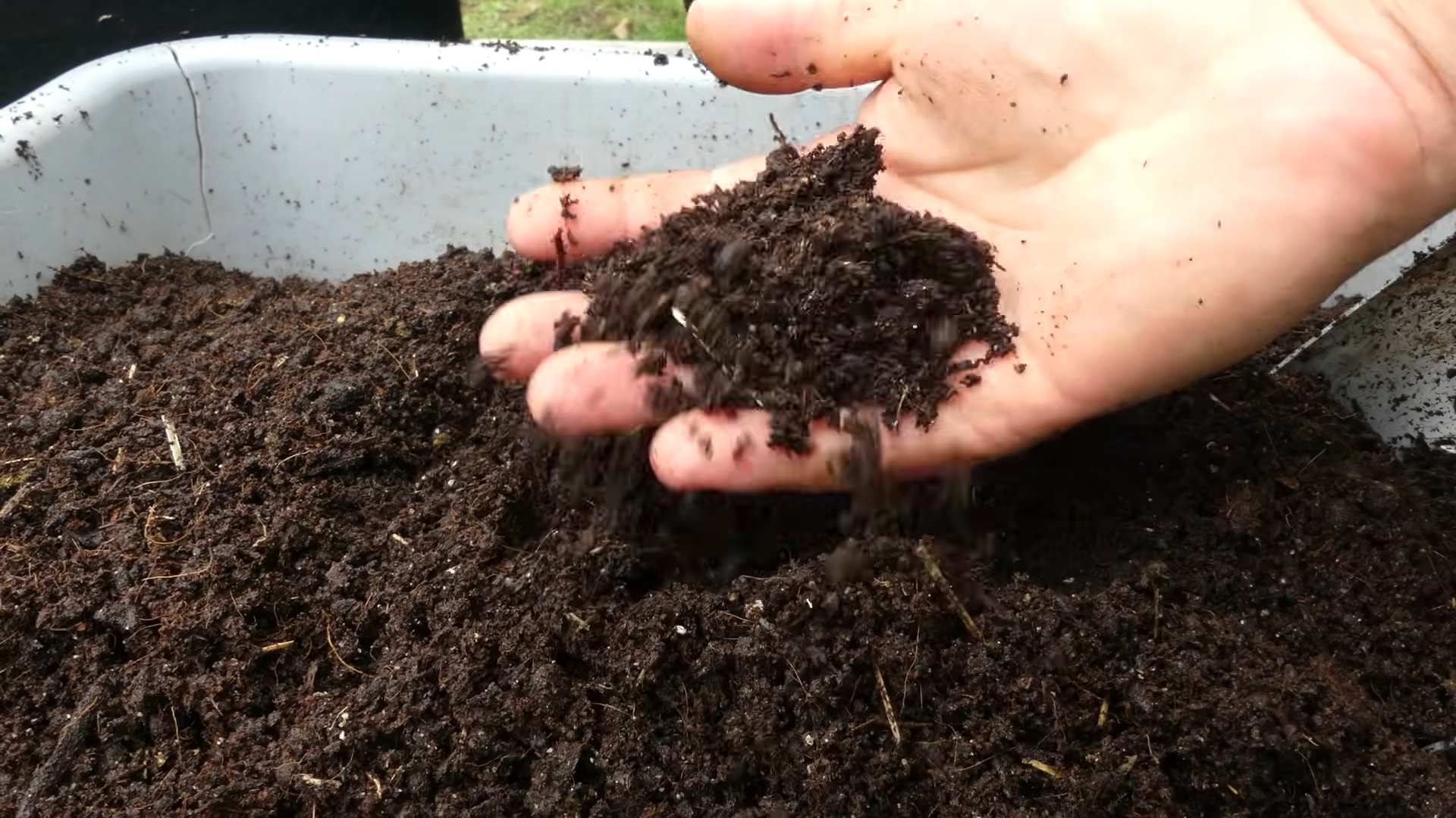 Carrot Container Gardening DIY