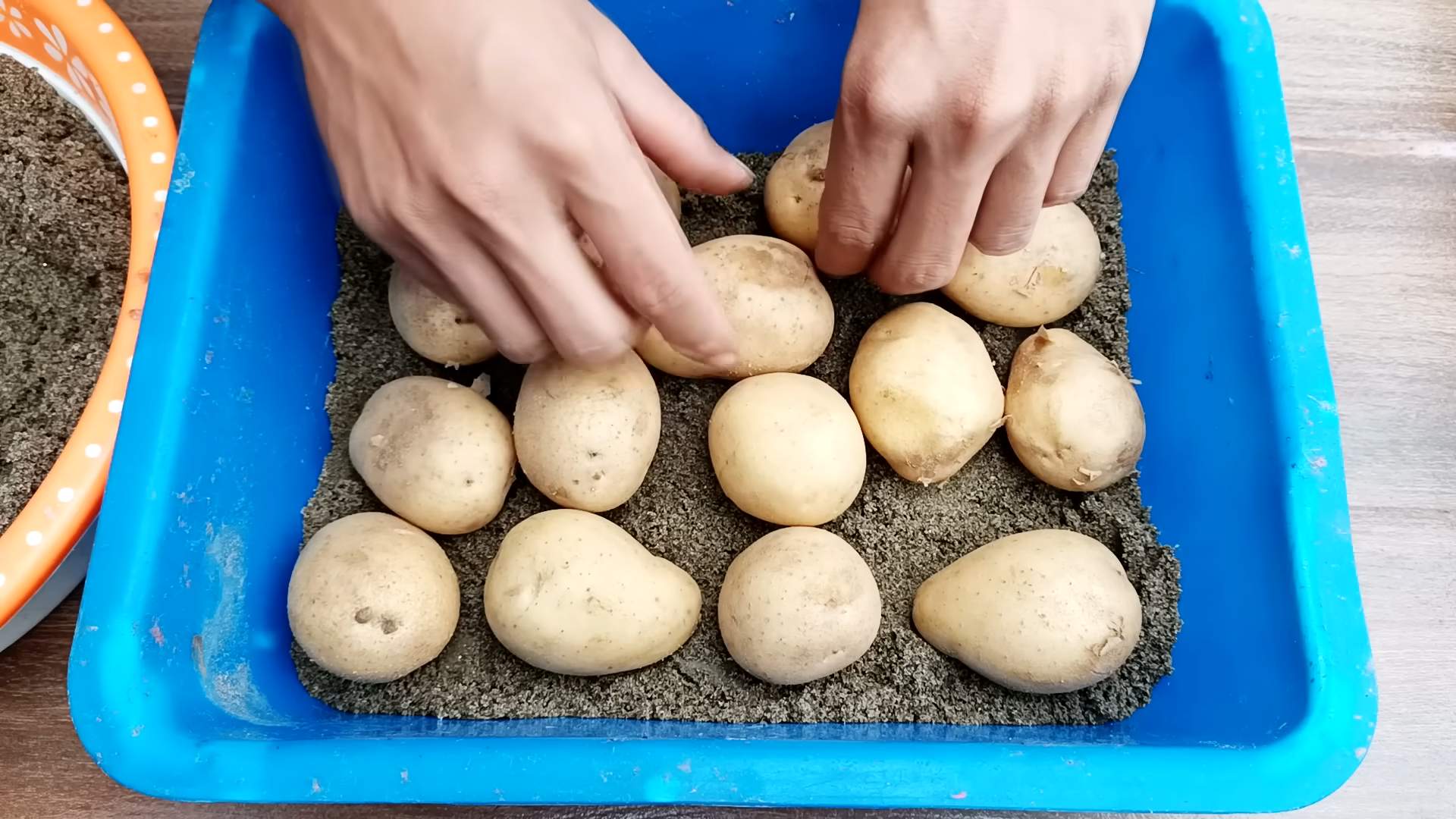 Rooftop Potato Growing Method
