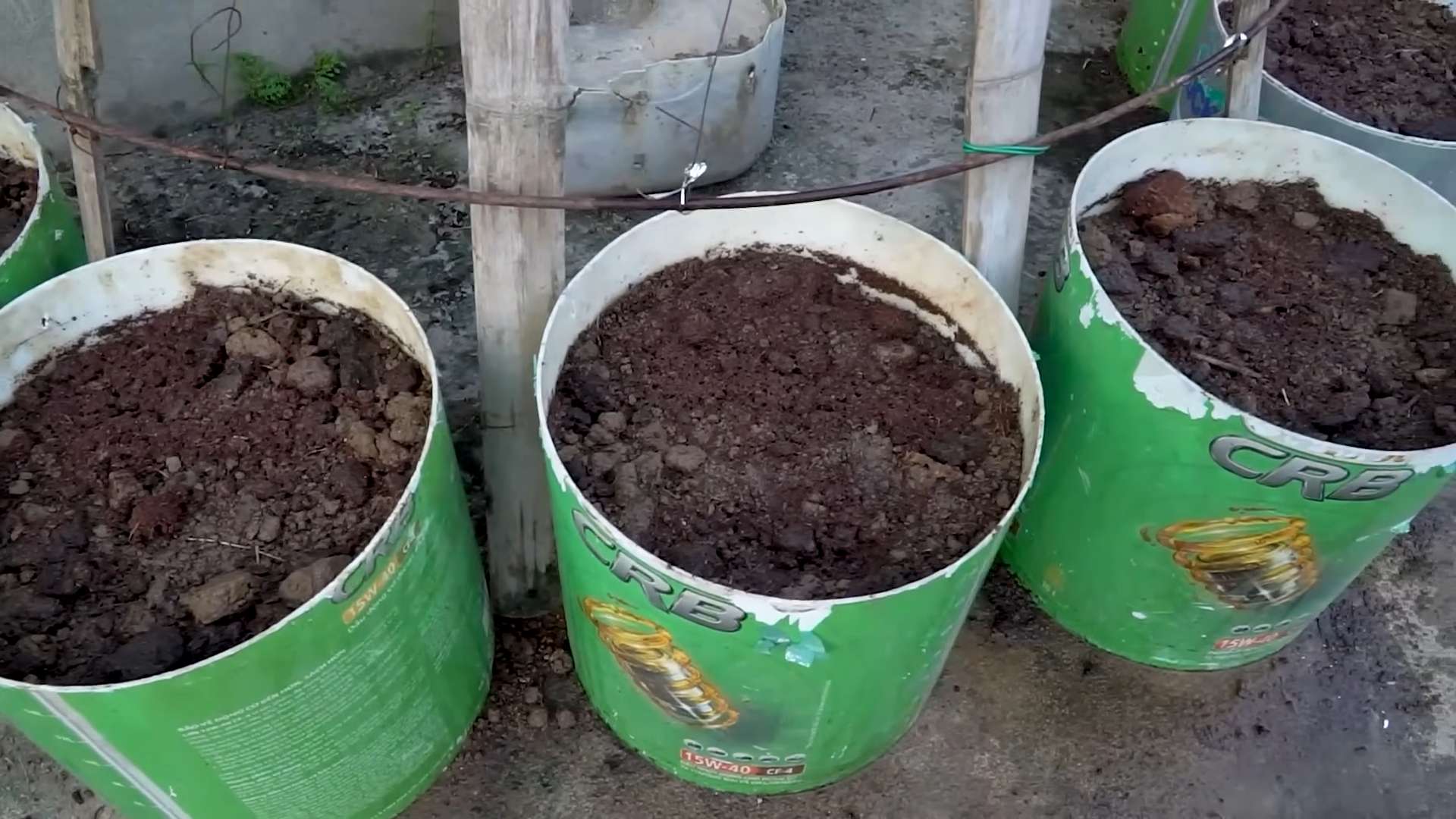 Kitchen shelf bean garden